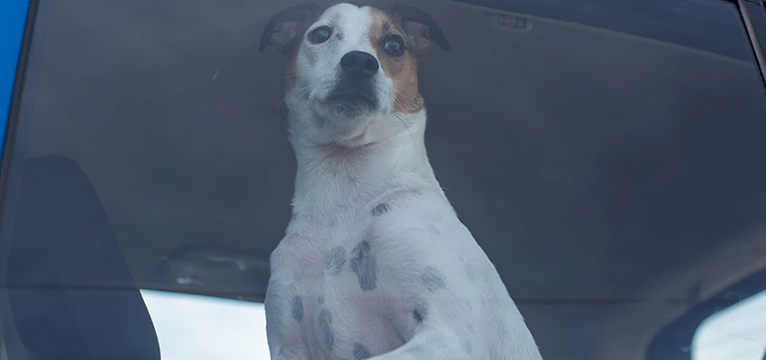 Car Lockout Solutions in Crescent City, California